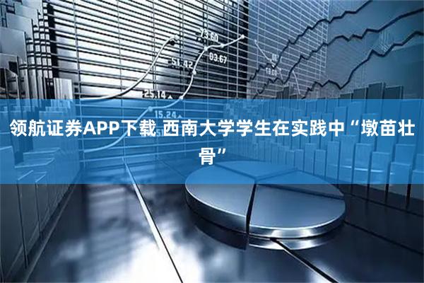 领航证券APP下载 西南大学学生在实践中“墩苗壮骨”
