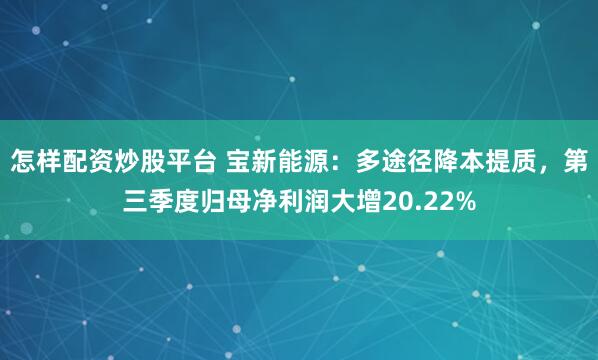 怎样配资炒股平台 宝新能源：多途径降本提质，第三季度归母净利润大增20.22%