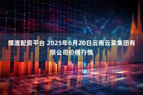 摆渡配资平台 2025年6月20日云南云菜集团有限公司价格行情